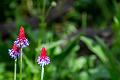 2019_08_01 (0099)